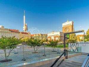 Prodej bytu 2+kk, Praha - Vinohrady, Laubova, 63 m2