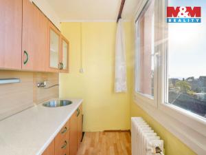 Prodej bytu 1+kk, Hrob, Rybniční, 27 m2