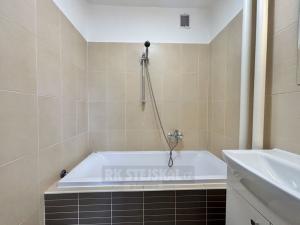Pronájem bytu 2+kk, České Budějovice - České Budějovice 6, Brožíkova, 58 m2