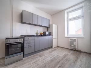 Pronájem bytu 1+1, České Budějovice - České Budějovice 5, Ledenická, 40 m2