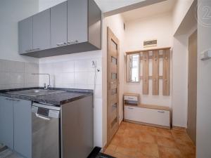 Pronájem bytu 1+1, České Budějovice - České Budějovice 5, Ledenická, 40 m2