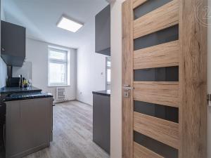 Pronájem bytu 1+1, České Budějovice - České Budějovice 5, Ledenická, 40 m2