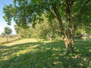 Prodej pozemku pro bydlení, Dřevěnice, 1636 m2