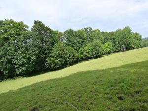 Prodej louky, Lánov - Horní Lánov, 45289 m2