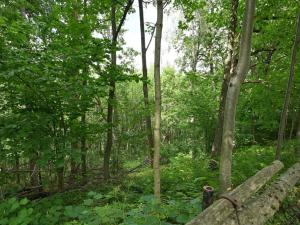 Prodej louky, Lánov - Horní Lánov, 45289 m2