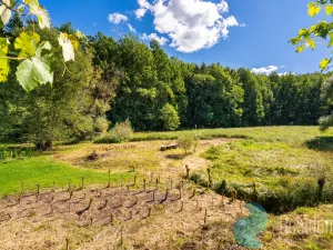 Prodej zemědělské usedlosti, Lhenice - Hrbov, 170 m2