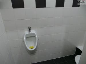 Pronájem obchodního prostoru, Most, Víta Nejedlého, 59 m2