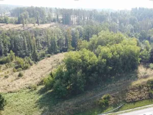 Dražba pozemku, Borek, 1351 m2