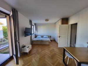 Pronájem bytu 1+kk, Tábor, Bechyňská, 38 m2