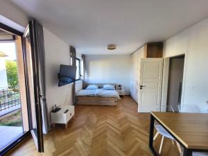 Pronájem bytu 1+kk, Tábor, Bechyňská, 38 m2