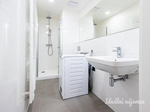 Pronájem bytu 1+kk, Praha - Vinohrady, Perucká, 26 m2