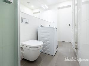 Pronájem bytu 1+kk, Praha - Vinohrady, Perucká, 26 m2