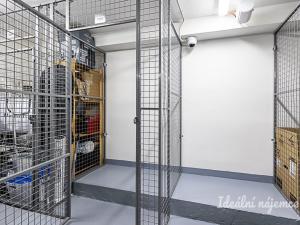 Pronájem bytu 1+kk, Praha - Vinohrady, Perucká, 26 m2