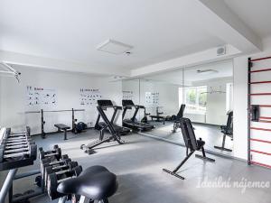 Pronájem bytu 1+kk, Praha - Vinohrady, Perucká, 26 m2