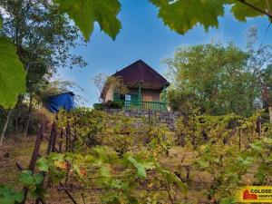 Prodej zahrady, Sivice, 1686 m2
