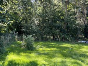 Prodej chalupy, Žalany - Černčice, 140 m2
