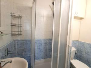 Pronájem bytu 1+kk, Hradec Králové - Slezské Předměstí, Třebechovická, 27 m2