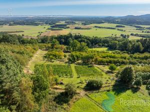 Prodej sadu/vinice, Lhenice, 7971 m2