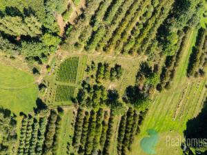 Prodej sadu/vinice, Lhenice, 8045 m2