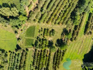 Prodej sadu/vinice, Lhenice, 3239 m2