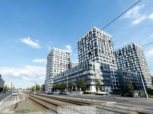 Pronájem bytu 4+kk, Praha - Žižkov, Olšanská, 124 m2