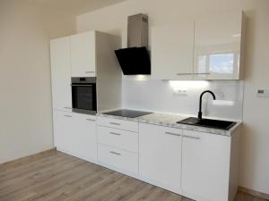 Prodej bytu 1+kk, Tábor, Budějovická, 65 m2