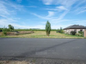 Prodej pozemku pro bydlení, Zalužany, 1423 m2