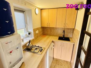 Prodej chaty, Homole - Nové Homole, 40 m2