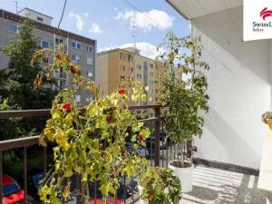 Prodej bytu 3+1, Děčín, Dvořákova, 73 m2