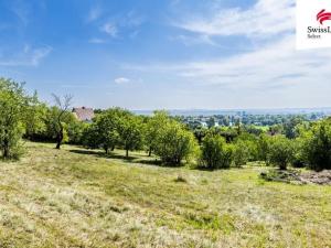 Prodej pozemku pro bydlení, Žalhostice, 3477 m2