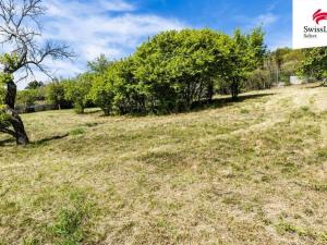 Prodej pozemku pro bydlení, Žalhostice, 3477 m2