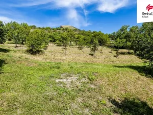 Prodej pozemku pro bydlení, Žalhostice, 3477 m2