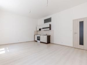 Pronájem bytu 3+kk, Plzeň - Jižní Předměstí, V Šipce, 57 m2
