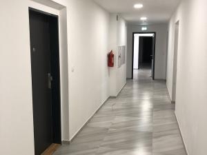 Pronájem bytu 2+kk, České Budějovice - České Budějovice 2, 49 m2