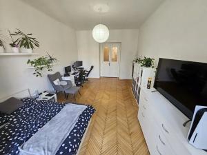 Pronájem bytu 2+kk, Praha - Dejvice, Václavkova, 56 m2
