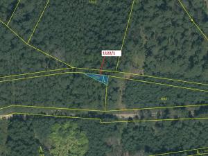 Dražba lesa, Skalice, 54 m2