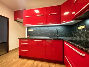 Pronájem bytu 2+1, Ostrava, Sokolovská, 55 m2