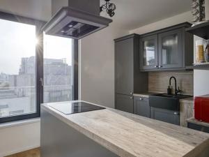 Prodej bytu 2+kk, Praha - Žižkov, U Viktorie, 67 m2