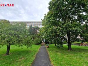 Pronájem bytu 2+kk, Praha, Plamínkové, 41 m2