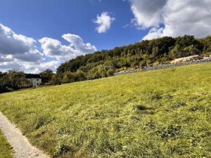 Prodej pozemku pro bydlení, Děčín, V Lukách, 1450 m2