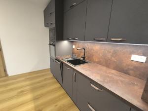 Prodej bytu 2+kk, Rakovník - Rakovník II, Maru Špačkové, 55 m2