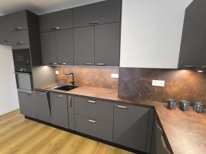 Prodej bytu 2+kk, Rakovník - Rakovník II, Maru Špačkové, 55 m2