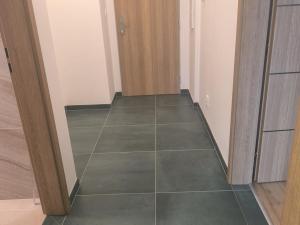 Prodej bytu 2+kk, Rakovník - Rakovník II, Maru Špačkové, 55 m2