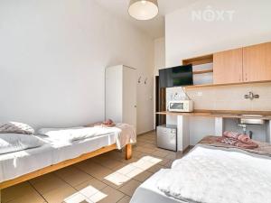 Pronájem bytu 1+kk, Orlová, Těšínská, 13 m2