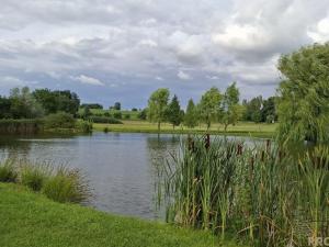 Prodej chaty, Prostějovičky, 59 m2