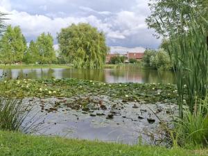 Prodej chaty, Prostějovičky, 59 m2