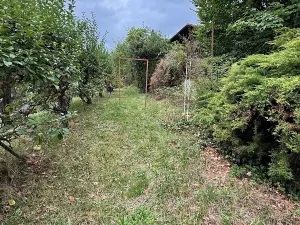 Prodej chaty, Nespeky, 50 m2