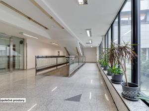 Pronájem kanceláře, Praha - Libeň, Sokolovská, 33 m2