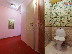 Prodej bytu 2+1, Teplice, Alejní, 46 m2