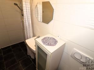 Pronájem bytu 1+1, Brno, Klobásova, 30 m2